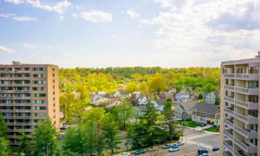 Hoteles en Crystal City