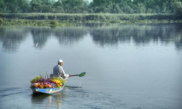 Hoteles en Dal Lake