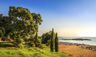Fig Tree Bay: viešbučiai