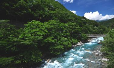 Хотели в района на Okuhida Onsen