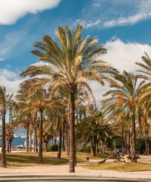 Četvrt u gradu Salou gde naši korisnici vole da borave.