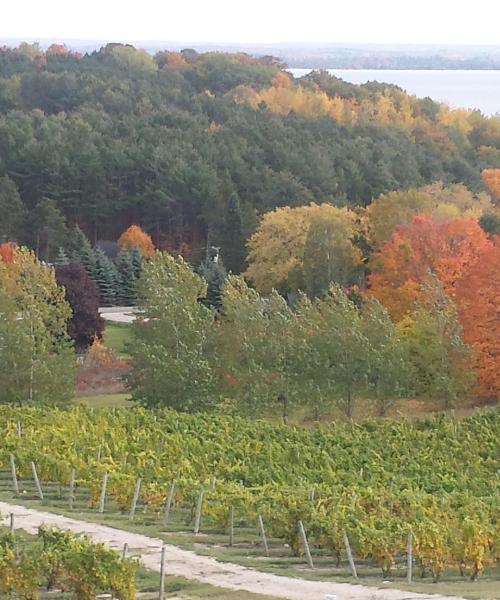 District of Traverse City where our customers prefer to stay.