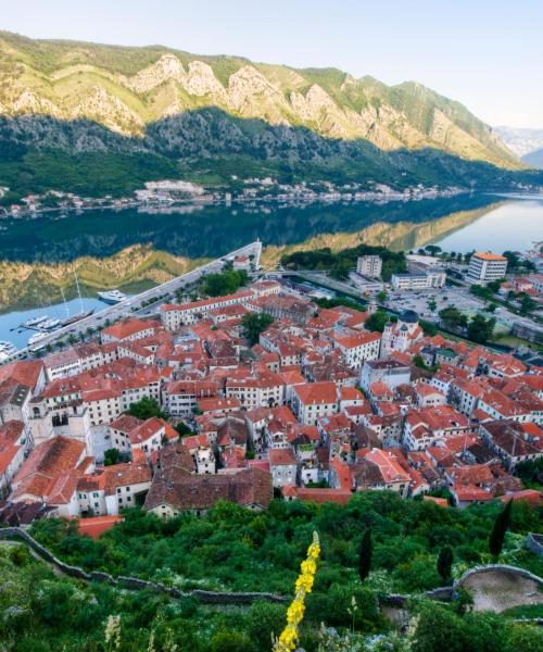 Stadtteil von Kotor, in dem unsere Gäste am liebsten übernachten.