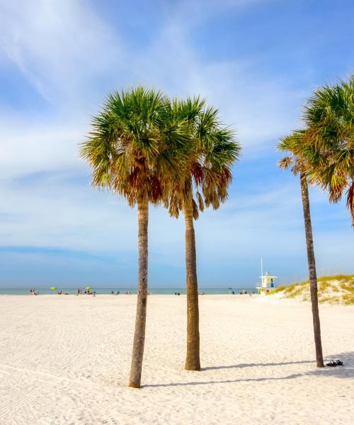 District of Clearwater Beach where our customers prefer to stay.
