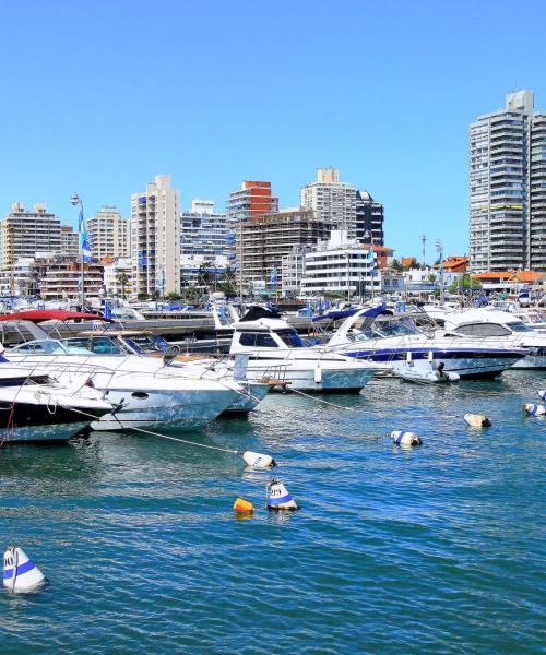 District of Punta del Este where our customers prefer to stay.