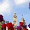 Hotels in Magnificent Mile