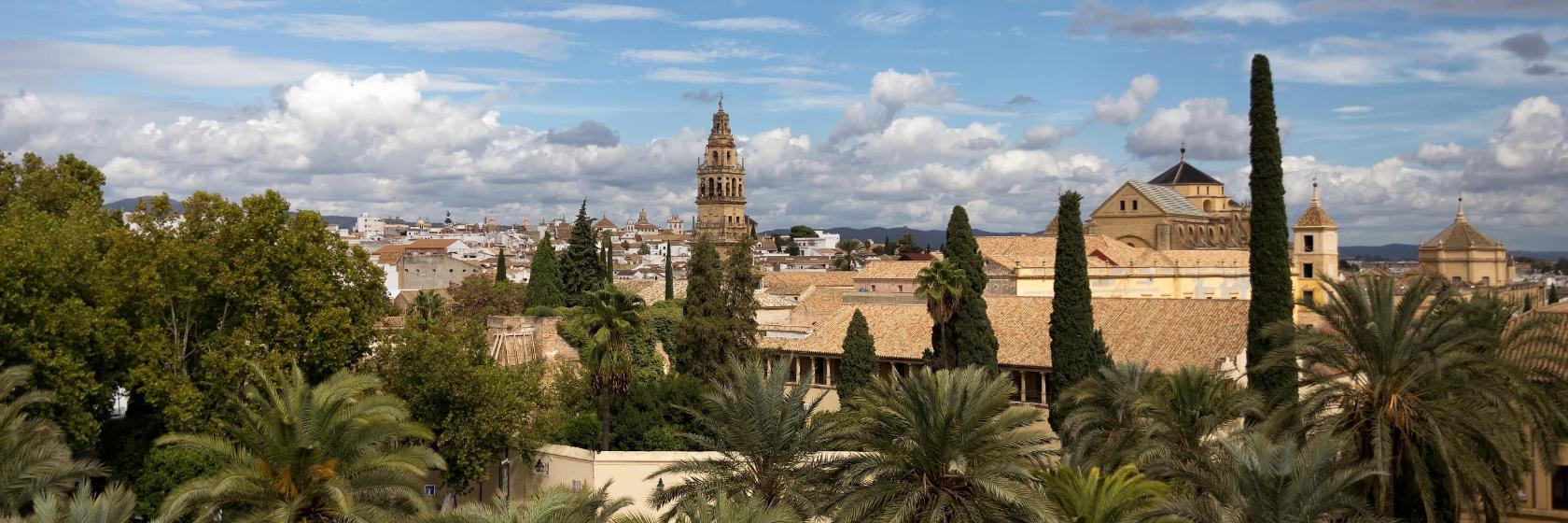 What are the best hotels in El Brillante?