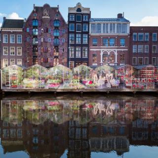 Amsterdamu cijena kurvi u U Amsterdamu