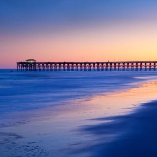 myrtle
