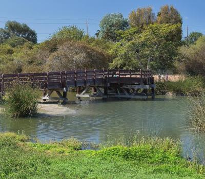 North Fremont