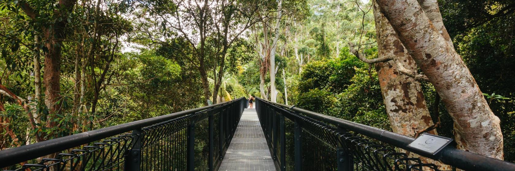 The 10 best hotels near Tamborine Rainforest Skywalk in North Tamborine