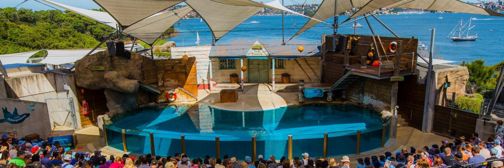 The 10 best hotels near Taronga Zoo in Sydney, Australia