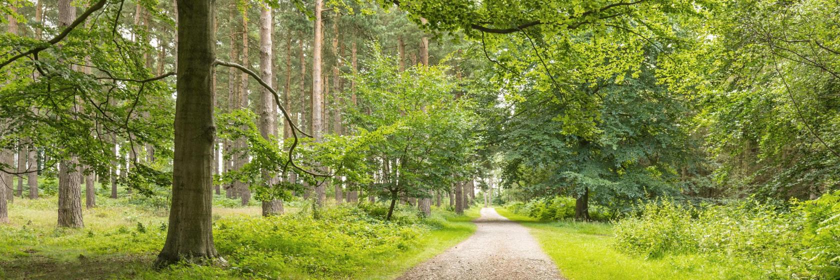 The 10 best hotels near Sherwood Forest in Edwinstowe, United Kingdom