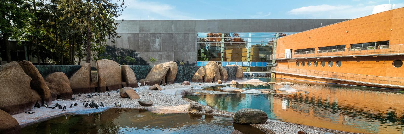 Die 10 besten Hotels in der Nähe von Zoologischer Garten, in Breslau