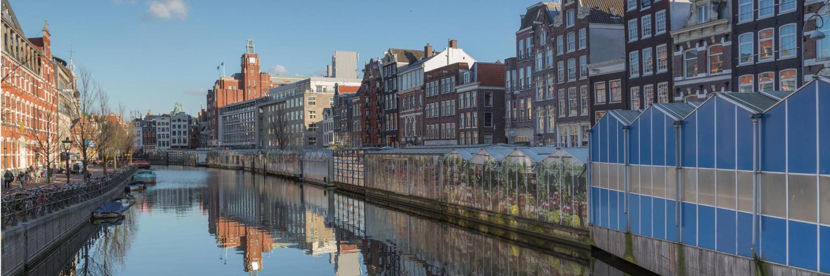 Dark Markets Netherlands Dark Markets Netherlands