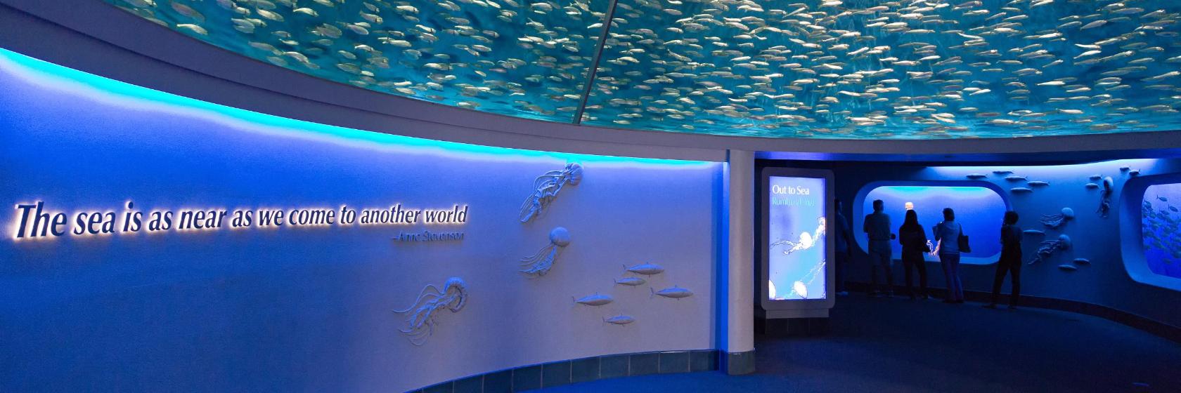 モントレーベイ水族館 アメリカ モントレー 近くの人気ホテル10軒 モントレーベイ水族館 アメリカ モントレー 近くの人気ホテル10軒