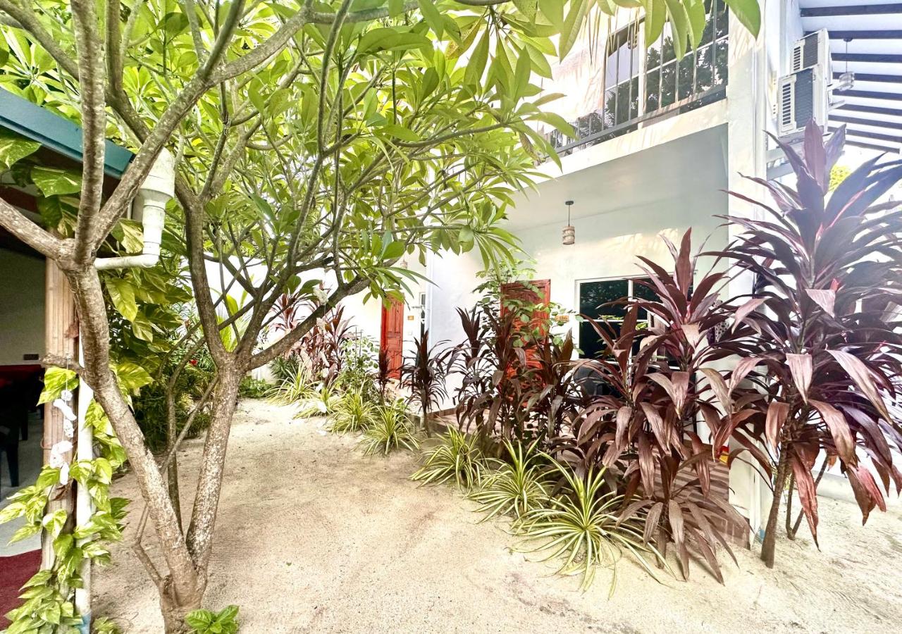 Deluxe Double or Twin Room, photo 1
