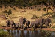 Four Seasons Safari Lodge Serengeti