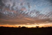 Four Seasons Safari Lodge Serengeti
