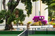Hotel Villa Ottone