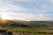 Altarocca Wine Resort Adults Only