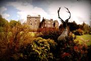 Comlongon Castle