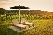 LOISIUM Wine & Spa Resort Südsteiermark