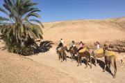 Agafay Luxury camp