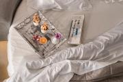 Elements of Caldera Suites