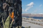 Elements of Caldera Suites
