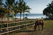 NIHI Sumba - member Leading Hotels of the World