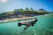 NIHI Sumba - member Leading Hotels of the World