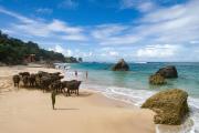 NIHI Sumba - member Leading Hotels of the World