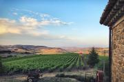 Tenute Gigliotto - B&B - Resort Wine - Agriturismo