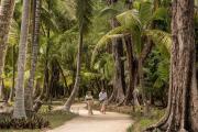 Four Seasons Resort Seychelles at Desroches Island