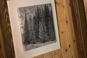 Bed & Breakfast Anisor - Parblanc