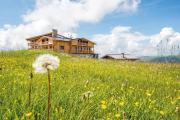 Hotel Goldknopf