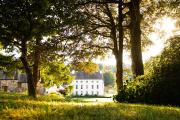 Grove of Narberth