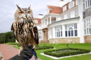 Trump Turnberry