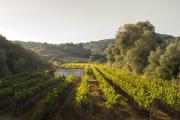 Hotel Rural Sant Patrici