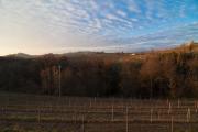 Klanjscek Wine&Stay