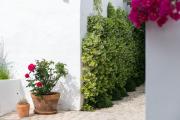 Coliving AdD LiVitum