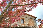 Borgo dé Brandi