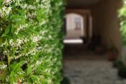 Coliving AdD LiVitum