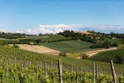 Spinerola Hotel in Cascina & Restaurant UvaSpina