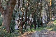 Mezzatorre Hotel & Thermal Spa
