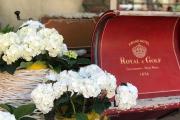 Grand Hotel Royal E Golf