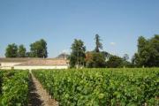 Chateau Pomys