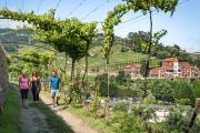 Six Senses Douro Valley
