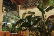 Hotel Villa Del Quar